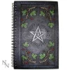 Agenda Resin Spiral Cover Wiccan Penta Agenda Nemesis Now