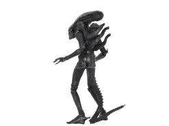 Alien 1979 Statua Alien Ultimate 40° Anniversario Big Chap Figura 23cm Neca