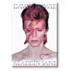AQUARIUS ENT BOWIE ALADDIN SANE FLAT MAGNET MAGNETI