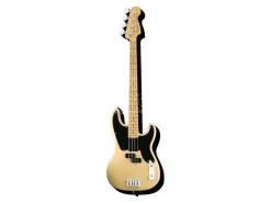 AQUARIUS ENT FENDER PRE C BASS MAGNET MAGNETI