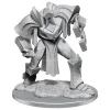 Critical Role Unpainted Miniatures Mage Hunter Golem Case (2) Wizkids
