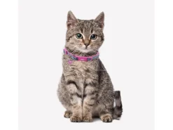 Dc Comics Supergirl Collare per cane XXS/XS For Fun Pets Cerdà