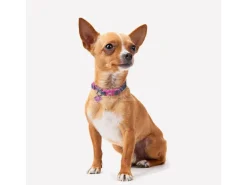Dc Comics Supergirl Collare per cane XXS/XS For Fun Pets Cerdà
