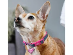 Dc Comics Supergirl Collare per cane M/L For Fun Pets Cerdà