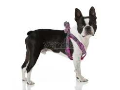 Dc Comics Supergirl Imbracatura Pettorina per cane XXS-XS For Fun Pets Cerdà