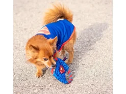 Dc Comics Superman Corda dentale gioco da masticare per cane For Fun Pets Cerdà