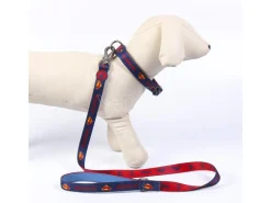 Dc Comics Superman Guinzaglio per cane S 120 cm For Fun Pets Cerdà