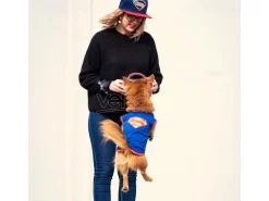 Dc Comics Superman T-shirt Jersey per cane For Fun Pets Cerdà