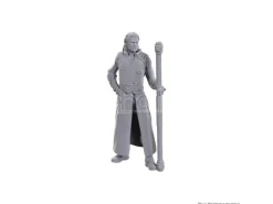 D&d Nolzur's Marvelous Miniatures Unpainted Miniature Gale & Astarion Wizbambino