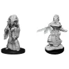 D&d Nolzur's Marvelous Miniatures Unpainted Miniatures Night Hag & Dusk Hag Case (6) Wizkids