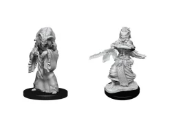 D&d Nolzur's Marvelous Miniatures Unpainted Miniatures Night Hag & Dusk Hag Case (6) Wizkids