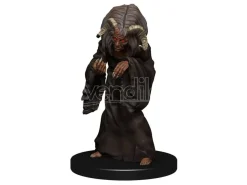 D&d Nolzur's Marvelous Miniatures Unpainted Miniatures Night Hag & Dusk Hag Case (6) Wizkids