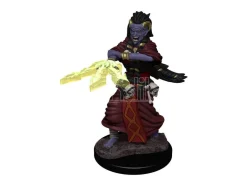 D&d Nolzur's Marvelous Miniatures Unpainted Miniatures Night Hag & Dusk Hag Case (6) Wizkids