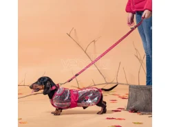 Disney Minnie Mouse Impermeabile per cane M For Fun Pets Cerdà