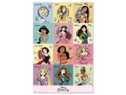 Disney Princess poster Erik