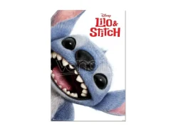 Disney Stitch Live Action poster Erik