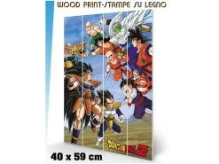 DRAGON BALL BATTLE CLASH WOOD PRINT STAMPA SU LEGNO PYRAMID INTERNATIONAL