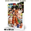 DRAGON BALL COMIC STRIP WOOD PRINT STAMPA SU LEGNO PYRAMID INTERNATIONAL