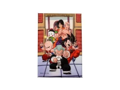 DRAGON BALL TOURNAMENT 54X78 MAGNET MAGNETI SD TOYS