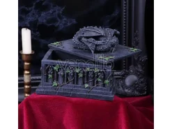 DRAGON TAROT CARD BOX ACCESSORI NEMESIS NOW