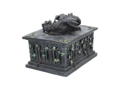 DRAGON TAROT CARD BOX ACCESSORI NEMESIS NOW