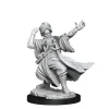 Dungeons & Dragons Frameworks Miniature Model Kit Human Wizard Male Wizkids