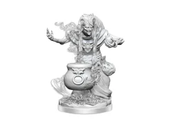 Dungeons & Dragons Frameworks Miniature Model Kit Night Hag Wizkids