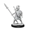 Dungeons & Dragons Frameworks Miniature Model Kit Human Fighter Female Wizkids