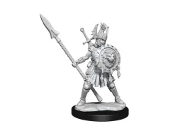Dungeons & Dragons Frameworks Miniature Model Kit Human Fighter Female Wizkids