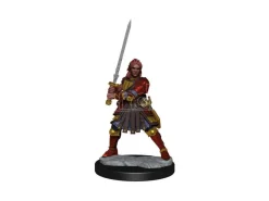 Dungeons & Dragons Frameworks Miniature Model Kit Human Fighter Female Wizkids
