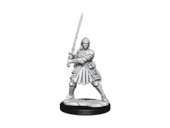 Dungeons & Dragons Frameworks Miniature Model Kit Human Fighter Female Wizkids