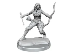 Dungeons & Dragons Frameworks Miniature Model Kit Human Rogue Female Wizkids