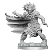 Dungeons & Dragons Frameworks Miniature Model Kit Wight Wizkids