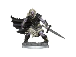 Dungeons & Dragons Frameworks Miniature Model Kit Wight Wizkids