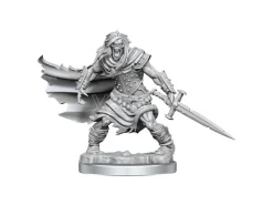 Dungeons & Dragons Frameworks Miniature Model Kit Wight Wizkids
