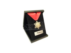 Factory Entertainment UM MEDALLION OF DRACULA LTD ED PROP REP REPLICA