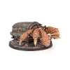 FALLOUT CREATURES HERMIT CRAB Videogioco MODIPHIUS