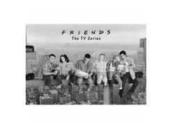 Friends poster Erik