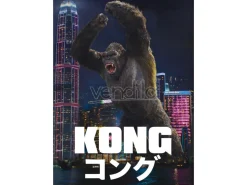 GODZILLA VS KONG CITY KONG FLAT MAGNET MAGNETI AQUARIUS ENT