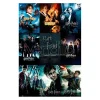Harry Potter - Collection - Poster (91.5x61)