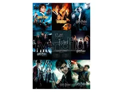 Harry Potter - Collection - Poster (91.5x61)