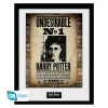 HARRY POTTER - Framed print "Undesirable No 1" (30x40)