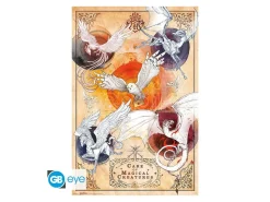 HARRY POTTER - Poster Maxi 91.5x61 FSC MIX - Magical Creatures