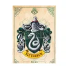 Harry Potter - Poster "Serpeverde" 91.5 x 61 cm AbyStyle
