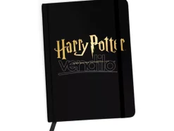 Harry Potter Agenda Ert Group