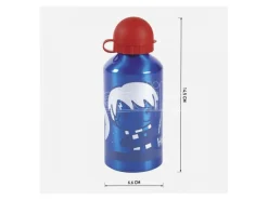Harry Potter Bottiglia Borraccia Alluminio Blu con Harry Cerdà