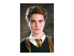 Harry Potter Cravatta Tassorosso Unisex Ufficiale Cinereplicas