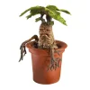 Harry Potter Creature Magiche Statua Mandragora 18 cm Noble Collection