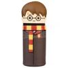 Harry Potter 3d Astuccio Harry Potter Grupo Erik