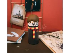 Harry Potter 3d Astuccio Harry Potter Grupo Erik